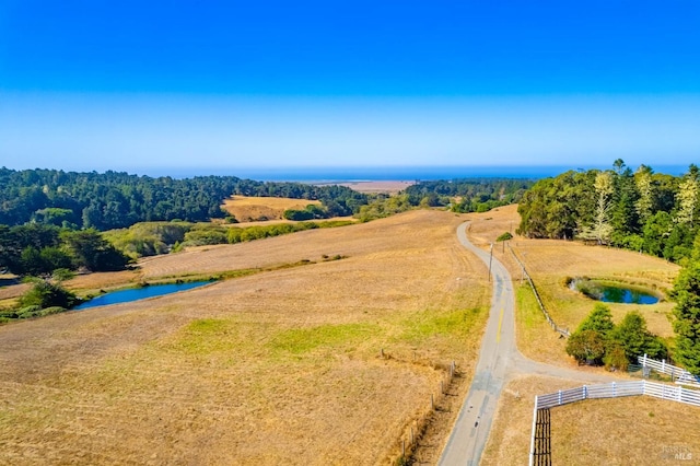 drone / aerial view with a water view and a rural view