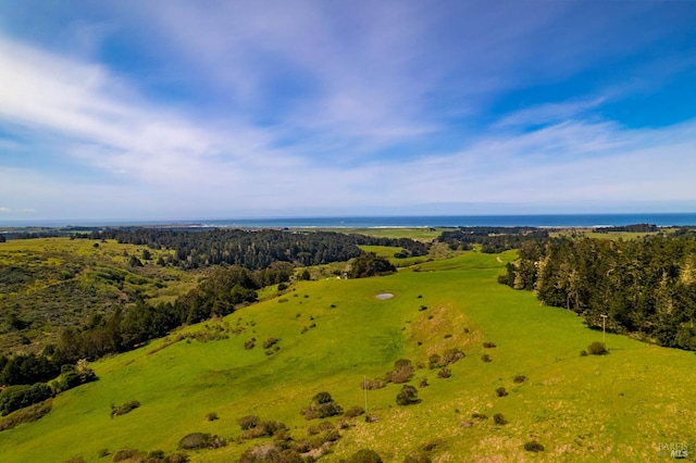 bird's eye view