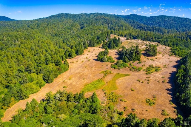 drone / aerial view with a mountain view