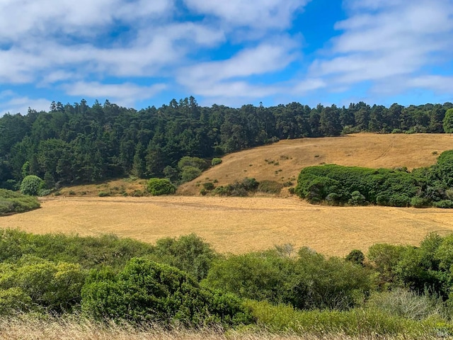 view of nature with a rural view