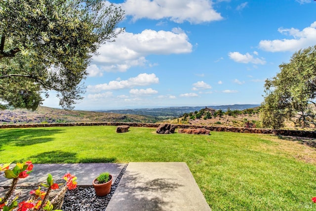 view of yard with a mountain view, a patio, and a rural view