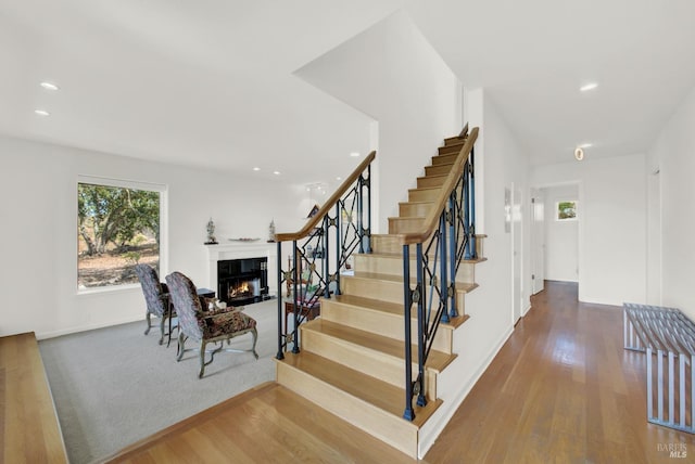 staircase with wood-type flooring