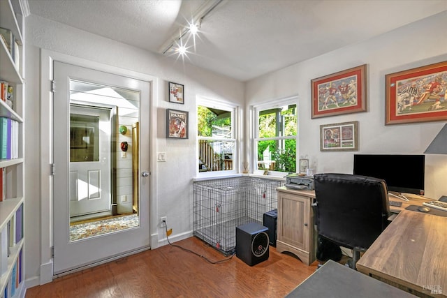 office space featuring hardwood / wood-style floors and a textured ceiling