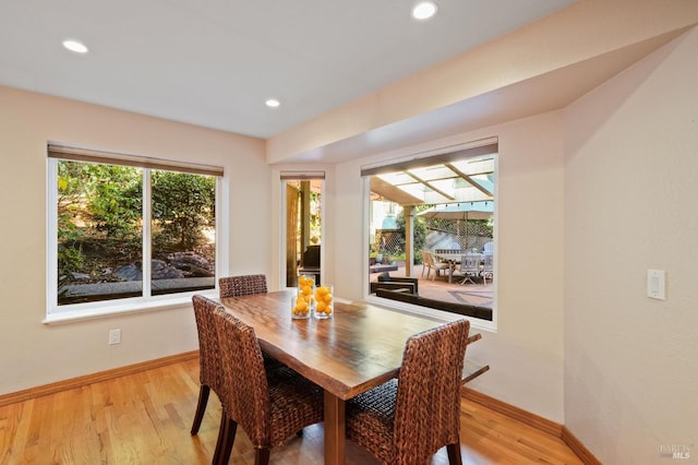 dining room featuring plenty of natural light and light hardwood / wood-style flooring