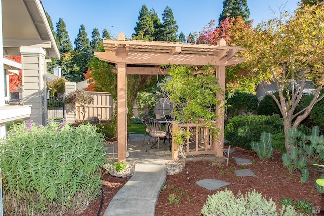 view of yard featuring a pergola and a patio