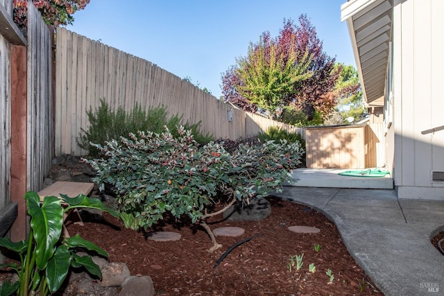 view of yard with a patio