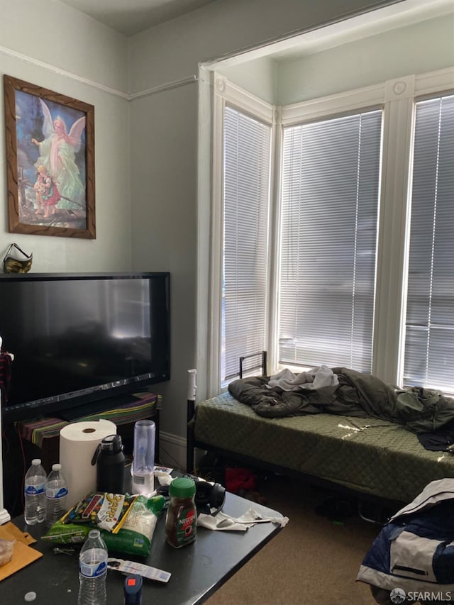 view of carpeted bedroom