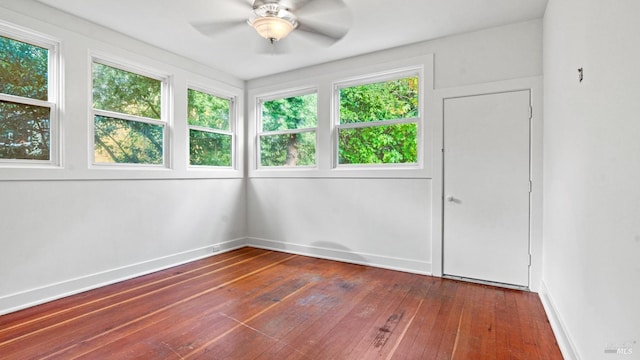 spare room with dark hardwood / wood-style floors and ceiling fan