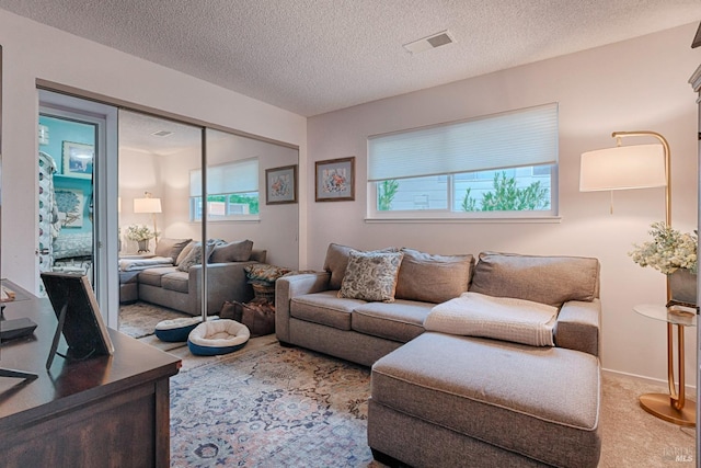 20 Meadowgreen Cir, Santa Rosa, CA 95409 - living area featuring carpet floors and a textured ceiling