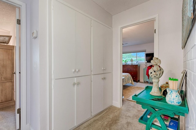 20 Meadowgreen Cir, Santa Rosa, CA 95409 - hall featuring light carpet and a textured ceiling