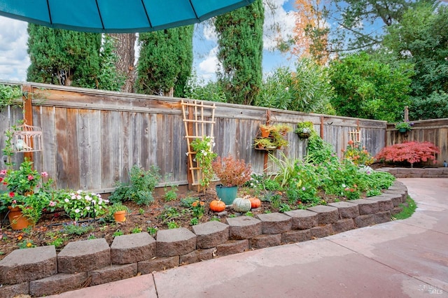 20 Meadowgreen Cir, Santa Rosa, CA 95409 - view of fenced backyard