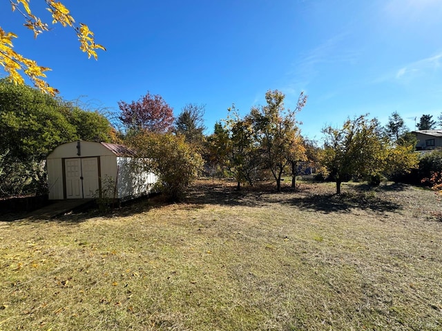 view of yard with a shed