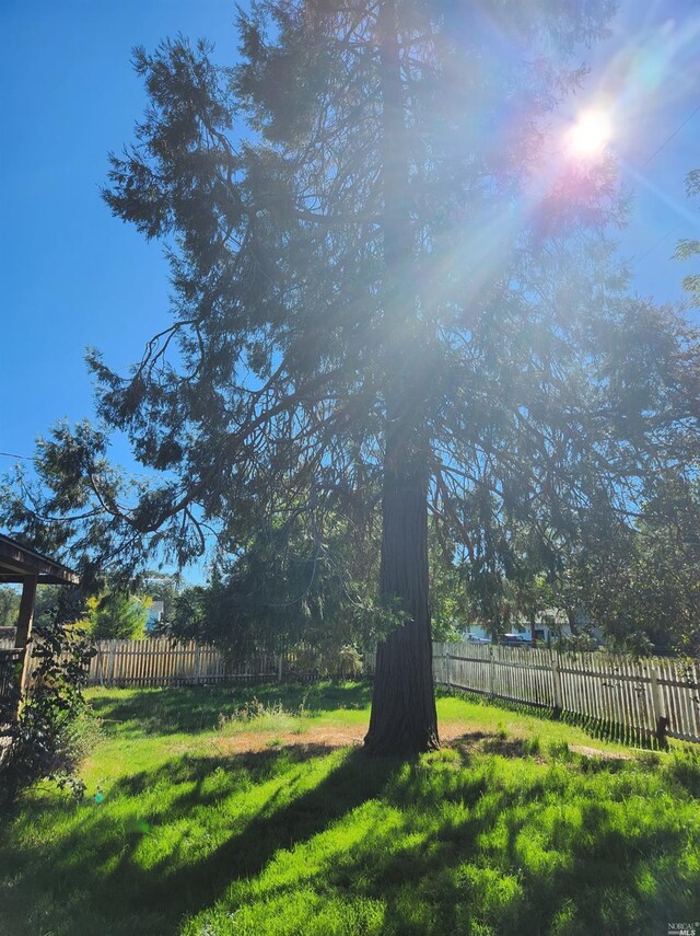 76319 Lovell St, Covelo, CA 95428 - view of yard