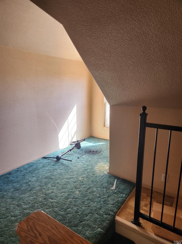 additional living space with lofted ceiling, a textured ceiling, and carpet flooring