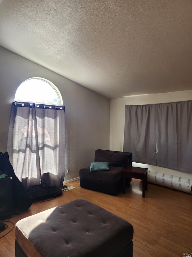 living room featuring a textured ceiling and hardwood / wood-style flooring