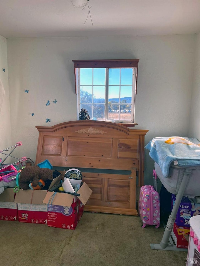 bedroom featuring carpet