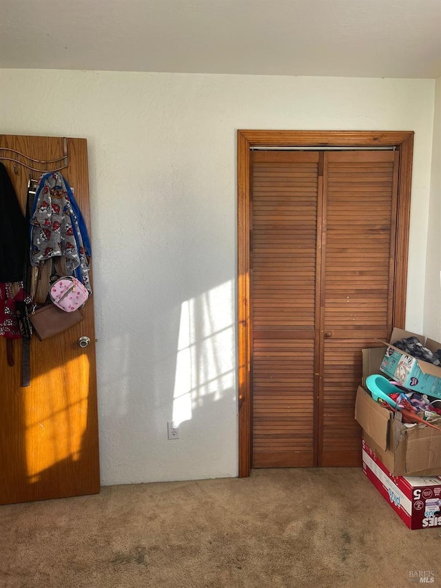 bedroom featuring carpet and a closet