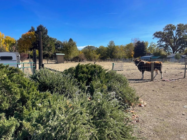 view of yard featuring a rural view