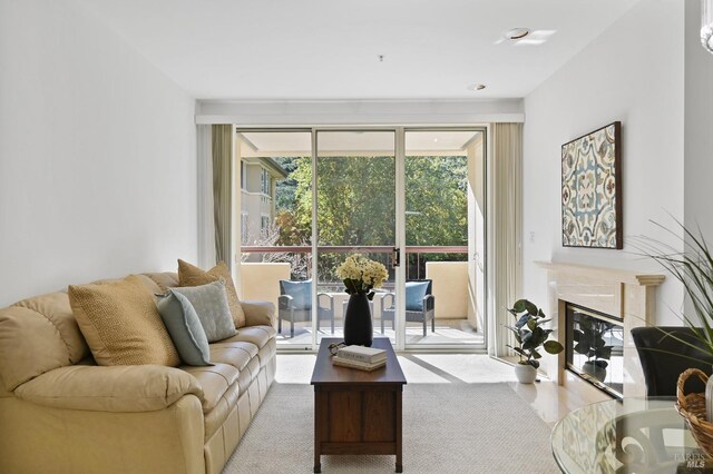 living room with a fireplace