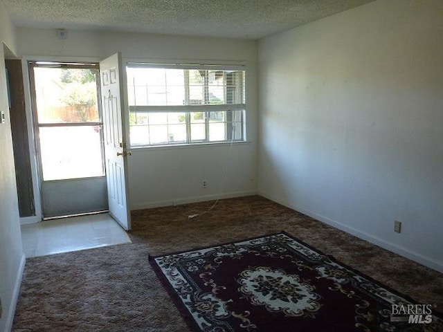 entryway featuring carpet flooring and a textured ceiling