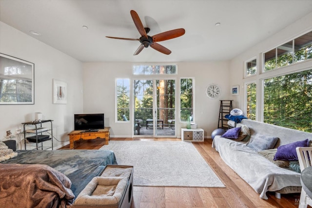 living room featuring ceiling fan and light wood-type flooring