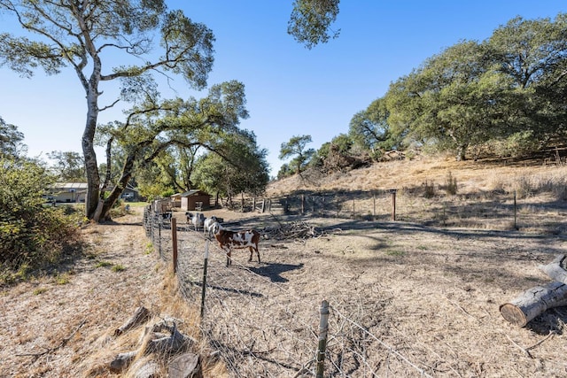 view of yard featuring a rural view