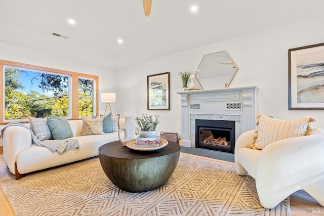 living room featuring light hardwood / wood-style floors and a premium fireplace