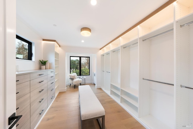 spacious closet featuring light hardwood / wood-style floors