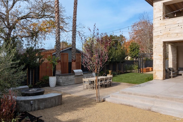 view of yard with area for grilling and a patio