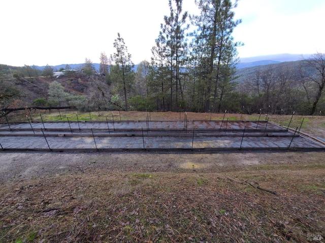 view of yard featuring a mountain view and a rural view