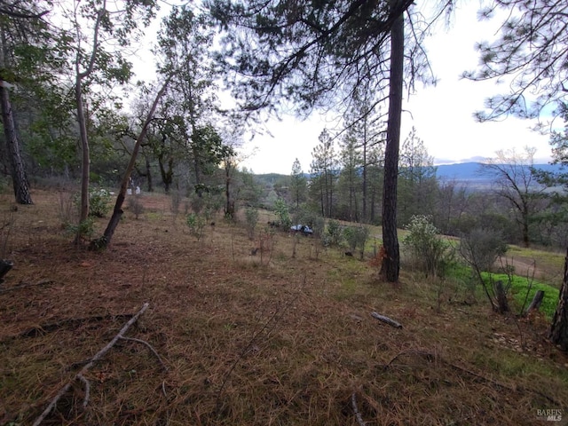 view of yard with a mountain view