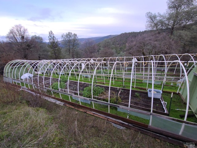 view of yard with a mountain view and a rural view