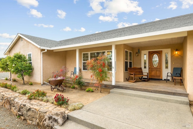 view of exterior entry with a porch and stucco siding