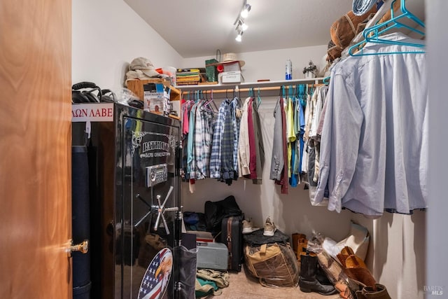 view of walk in closet