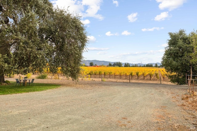 view of road with a rural view