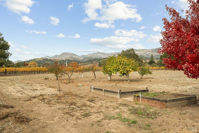 view of yard with a mountain view and a rural view