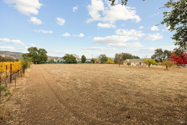 view of yard featuring a rural view