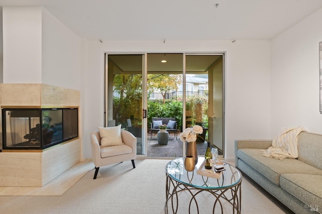 600 Deer Valley Rd Unit 1B, San Rafael, CA 94903 - living room with carpet flooring and a multi sided fireplace