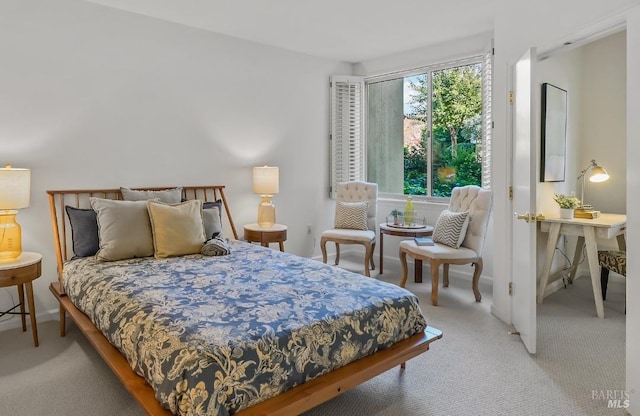 bedroom with carpet flooring