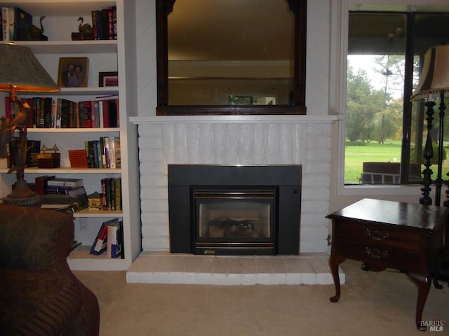 details featuring a fireplace, carpet, and built in features