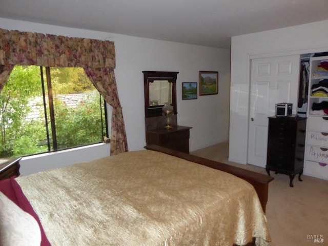 bedroom featuring carpet flooring and a closet