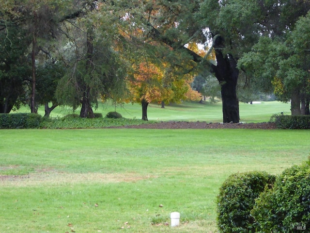 view of home's community featuring a lawn