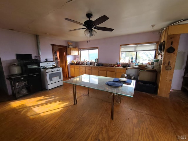 kitchen featuring gas range gas stove, ceiling fan, and light wood-type flooring