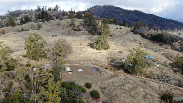 birds eye view of property featuring a mountain view and a rural view