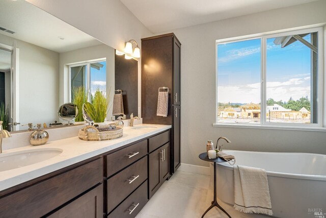 bathroom featuring plenty of natural light, a washtub, and vanity