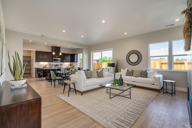 living room with light wood-type flooring and a healthy amount of sunlight