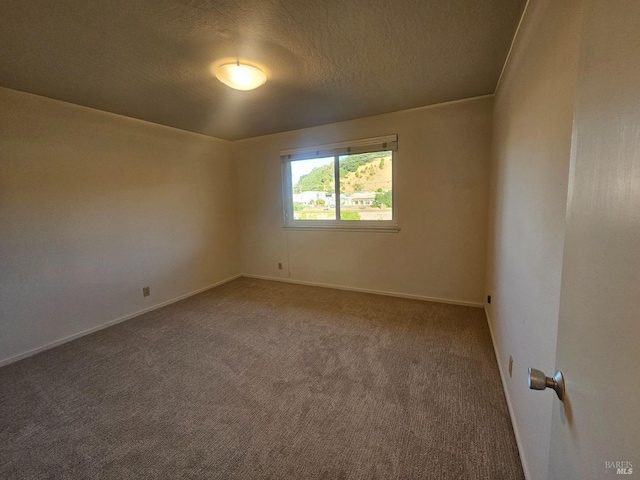 empty room featuring carpet and a textured ceiling