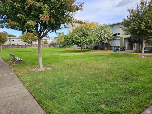 1056 Los Gamos Rd Unit C, San Rafael, CA 94903 - view of yard