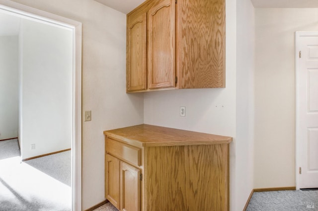 interior space with light brown cabinets and light carpet