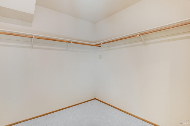 walk in closet with carpet flooring